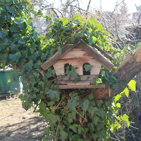 Ferienhaus Witta Ferienhaus