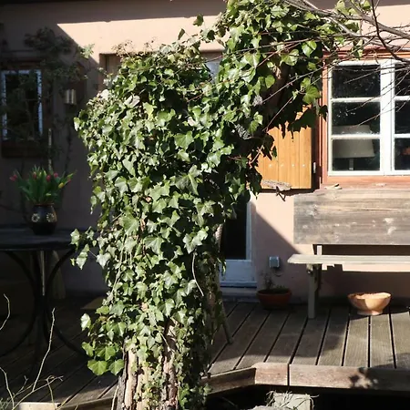 Ferienhaus Ferienhaus Witta